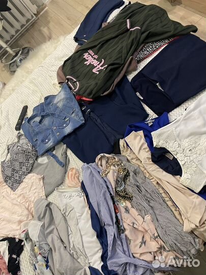 Женская одежда