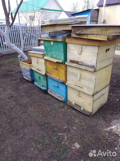 Ульи для пчел б/у