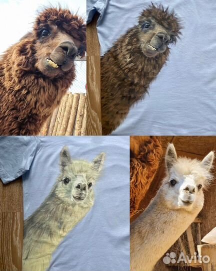 Роспись одежды и обуви