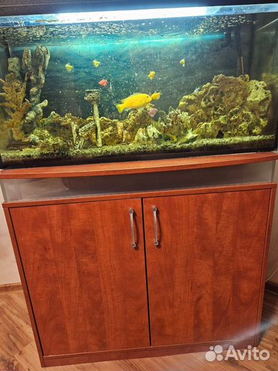 Аквариум