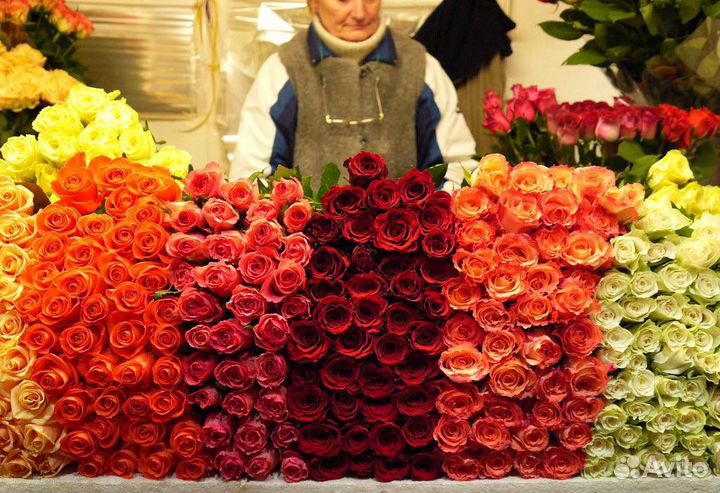 Розы оптом