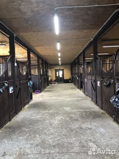 Постой лошадей