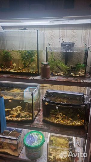 Аквариум