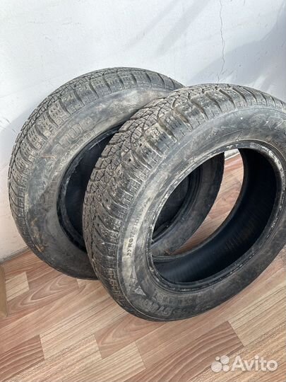 Tigar Sigura Stud 175/65 R14 82T