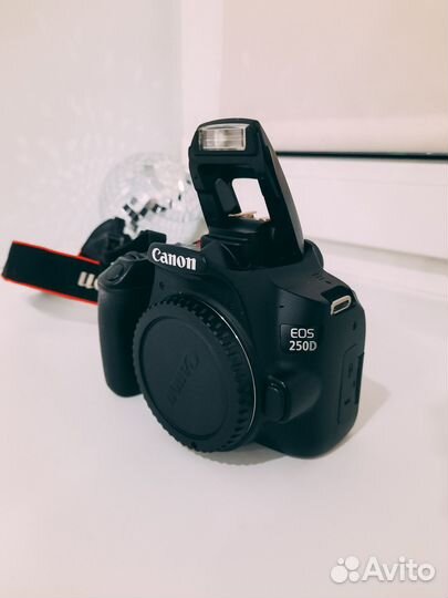 Canon eos 250d body