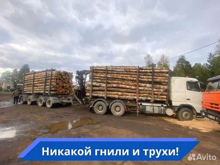 Дрова Качественные