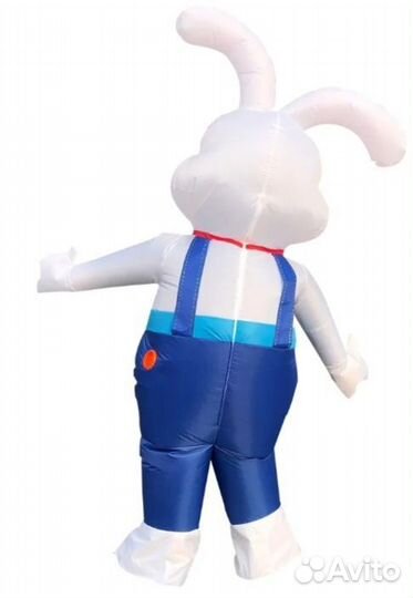 Прокат надувного костюма 