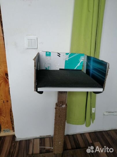 Когтеточка для кошек