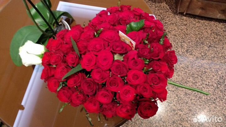 Розы в коробке 47 шт красные