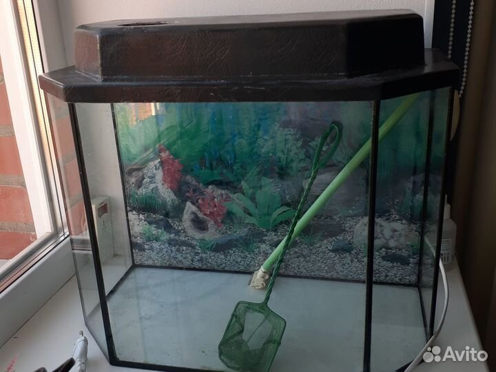 Аквариум