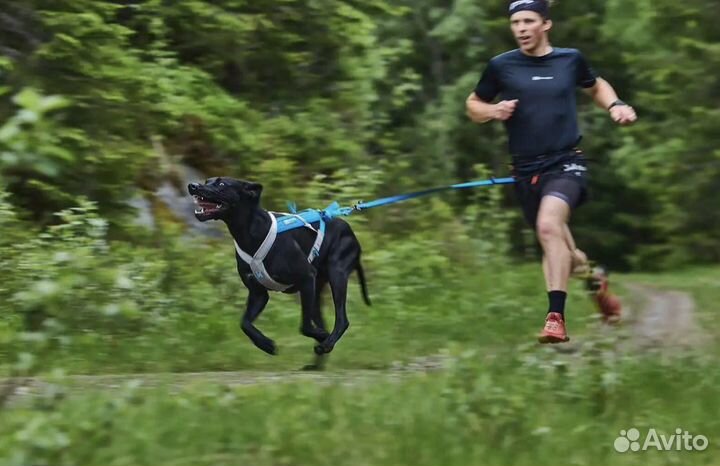 Поводок потяг bungee leash non-stop