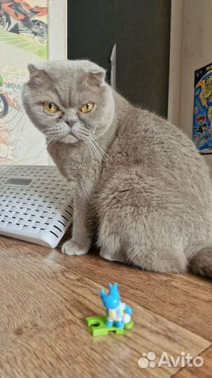 Бегемотик-футболист