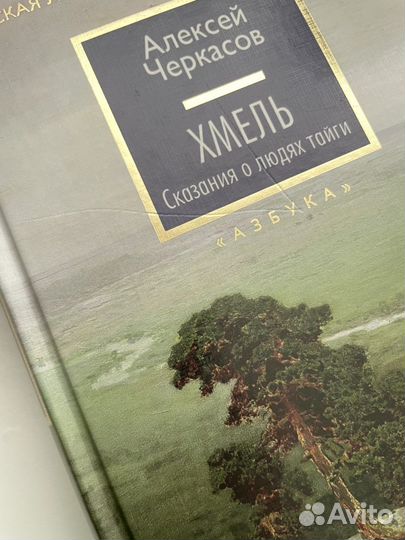 Книга «Русская литература»