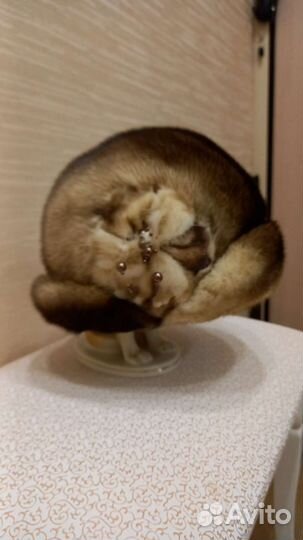 Шапка норковая женская бу