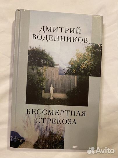 Дмитрий Воденников, Бессмертная стрекоза