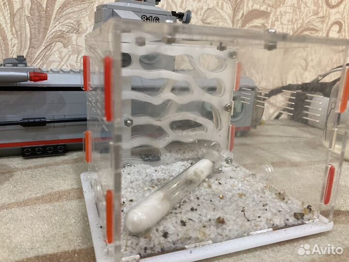 Муравьиная ферма без муравьев