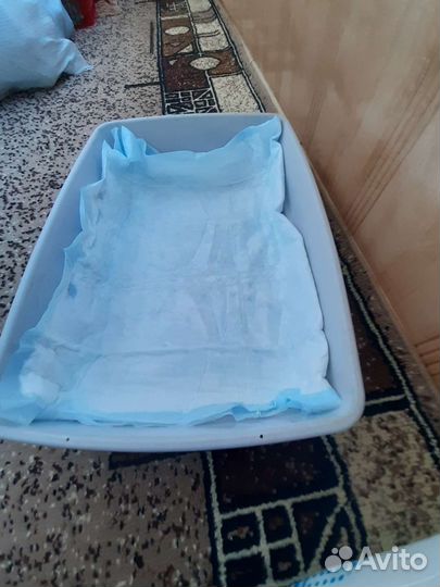 Товары для животных