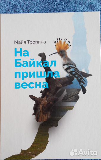 Детские книги о природе Прибайкалья 4