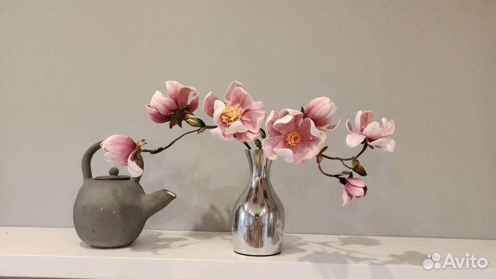 Магнолии интерьерные