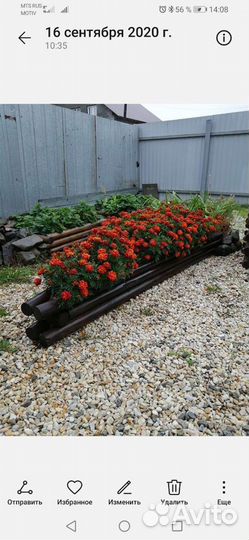 Грядки, клумбы садовые