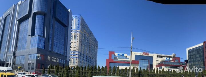 Готовый бизнес Груминг (зоосалон )