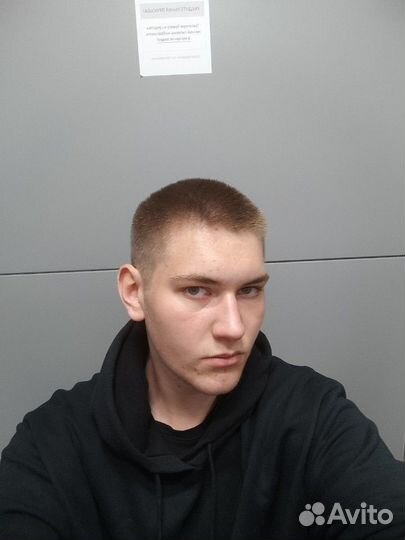 Охрана, курьер