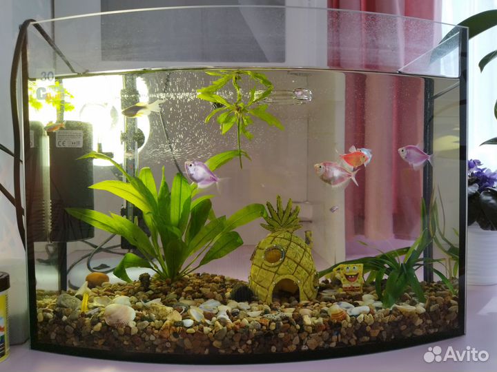 Аквариум