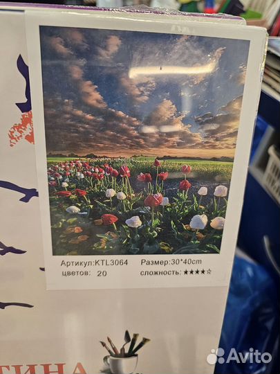 Картины по номерам на холсте 30х40 см