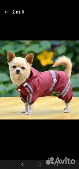 Комбинезон для собаки, тонкий комбез, плащевка