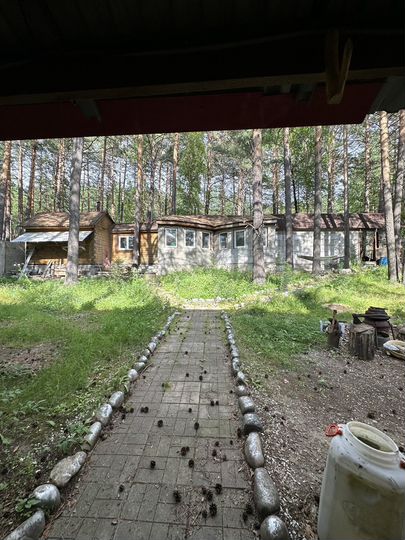 Дом 200 м² на участке 20 сот.