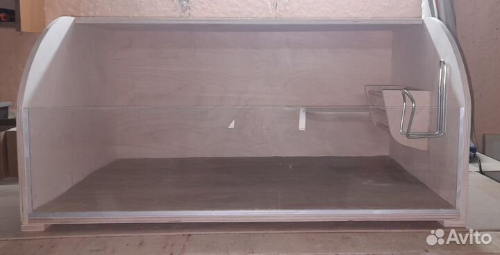 Морская свинка Лункария