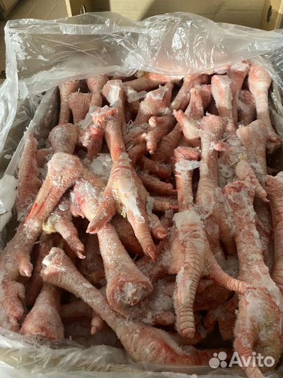 Мясо для собак