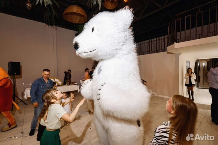 Белый мишка, аниматор