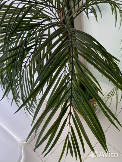 Искусственные растения для декора