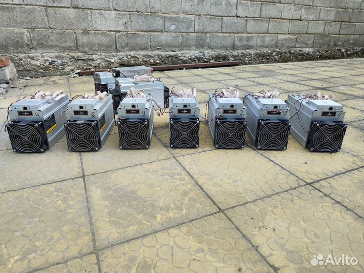Antminer L3+ 504M innosilikon t2tz 30th