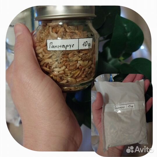 Товары для улиток