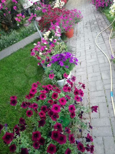 Дом 140 м² на участке 18 сот.