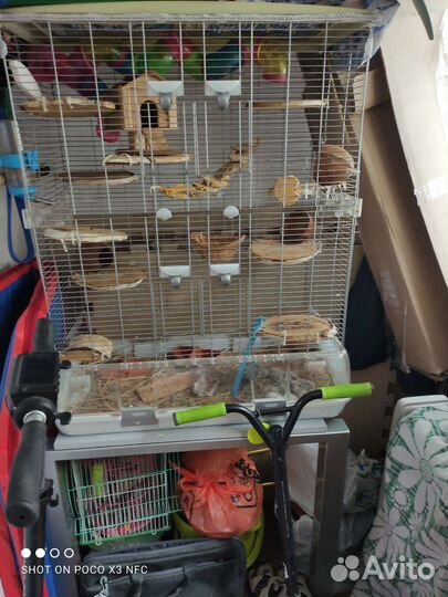 Большая клетка для животных и птиц Vision 2