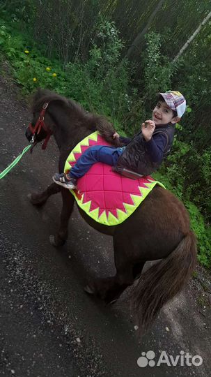 Прокат на пони