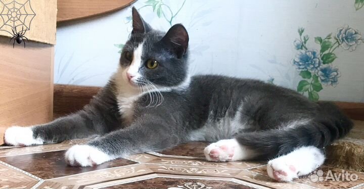 К О Ш Е Ч К А * 8 М Е С Я Ц Е В *