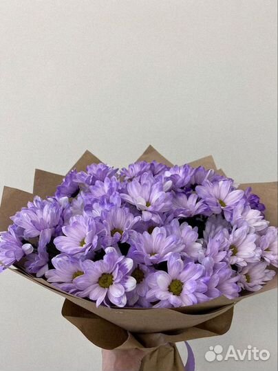 Букет хризантем Цветы Букеты