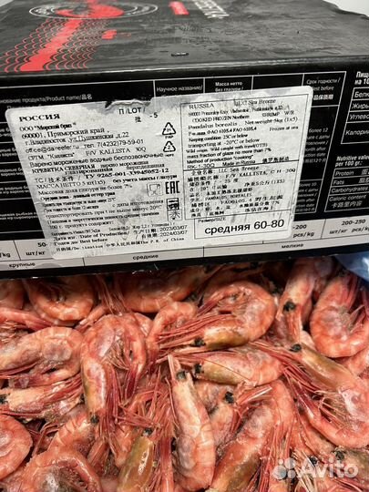 Креветка северная 5 кгразмер 60-80