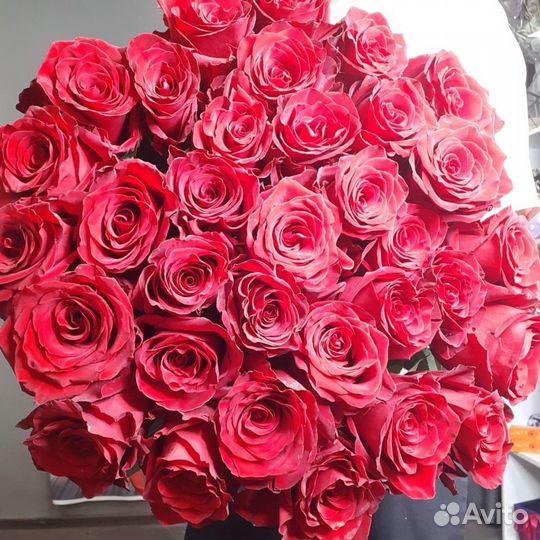 33, 51 и 101 роза высотой до 140 см