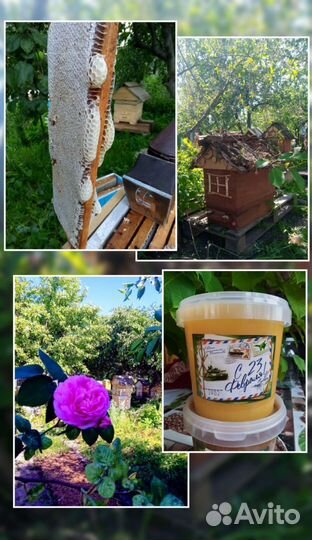 Смотровые, видовые, выставочные ульи