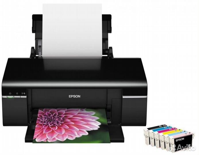 Принтер Epson Stylus Photo P50