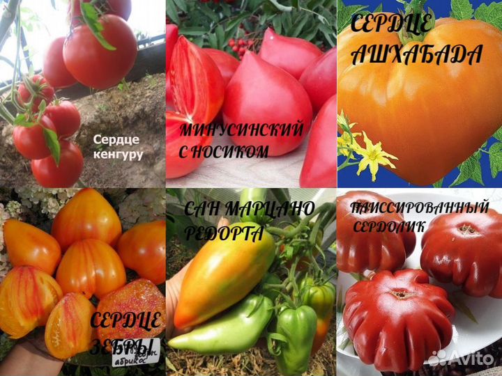 Семена коллекционных сорт. томатов. Вкусная цена
