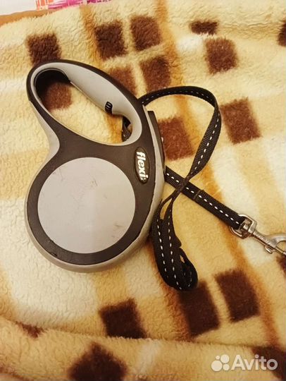 Амуниция для собак