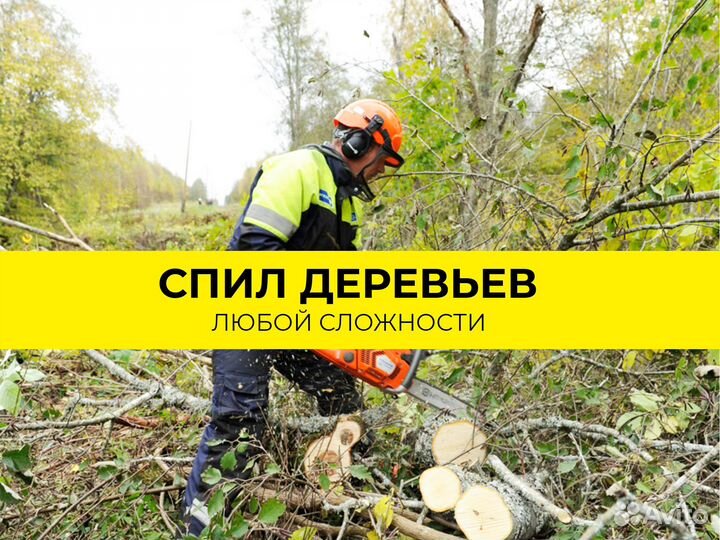 Расчистка участка, мульчер, покос травы