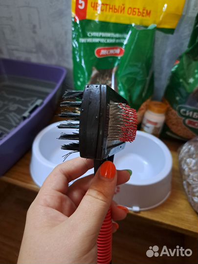 Все для котов
