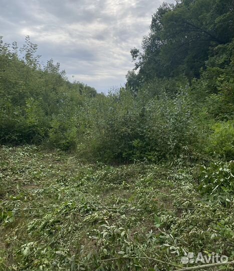 Покос травы, расчистка участка от поросли